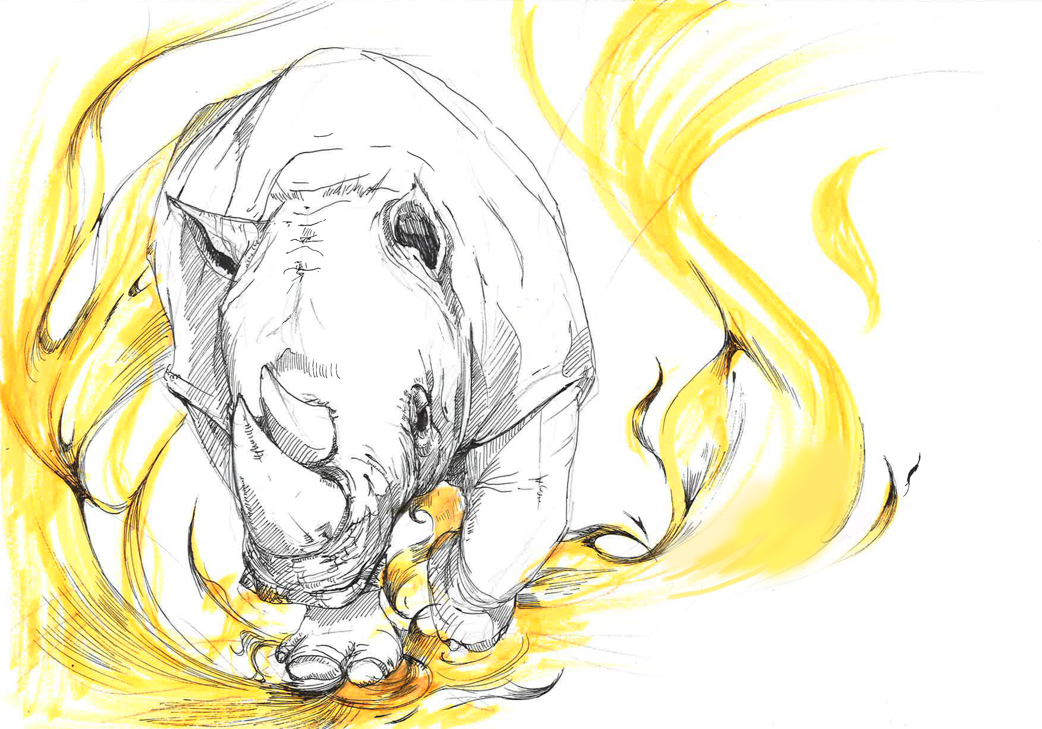 rushing rhino on the fire flame